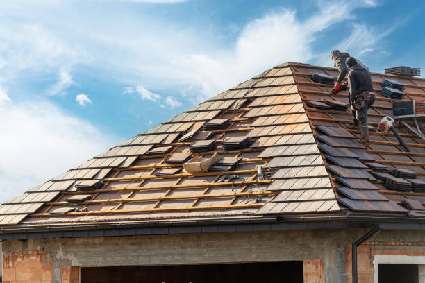 Best Roof Insulation Installation  in Radium Springs, NM
