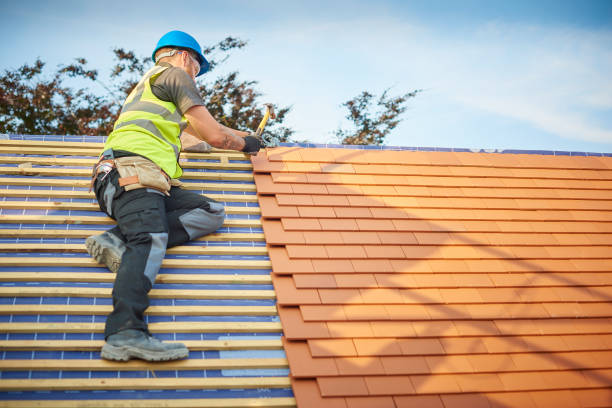 Best Metal Roofing Installation  in Radium Springs, NM